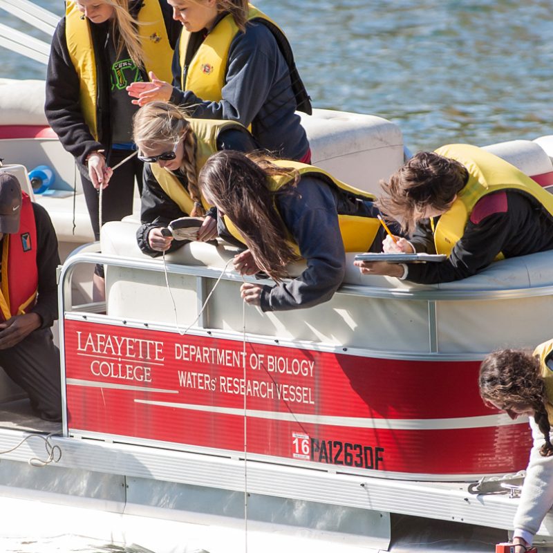 Degree Requirements and Courses · Biology · Lafayette College